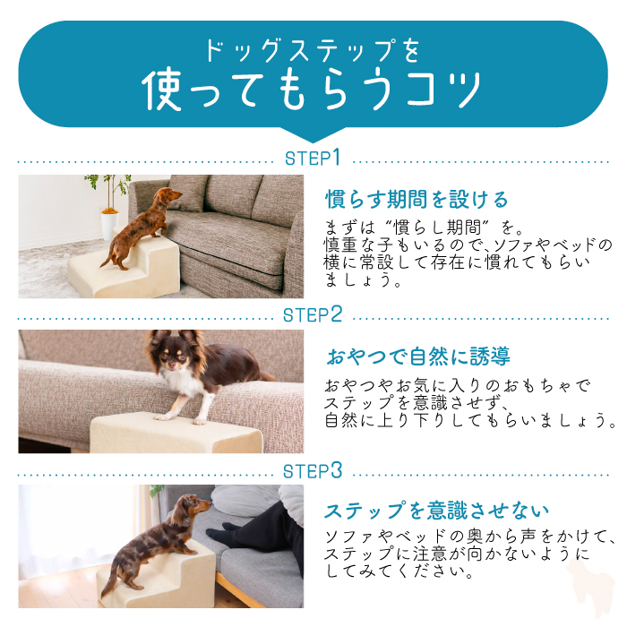 ドッグステップ 2段 犬用ステップ ペットスロープ ドッグステップ 犬