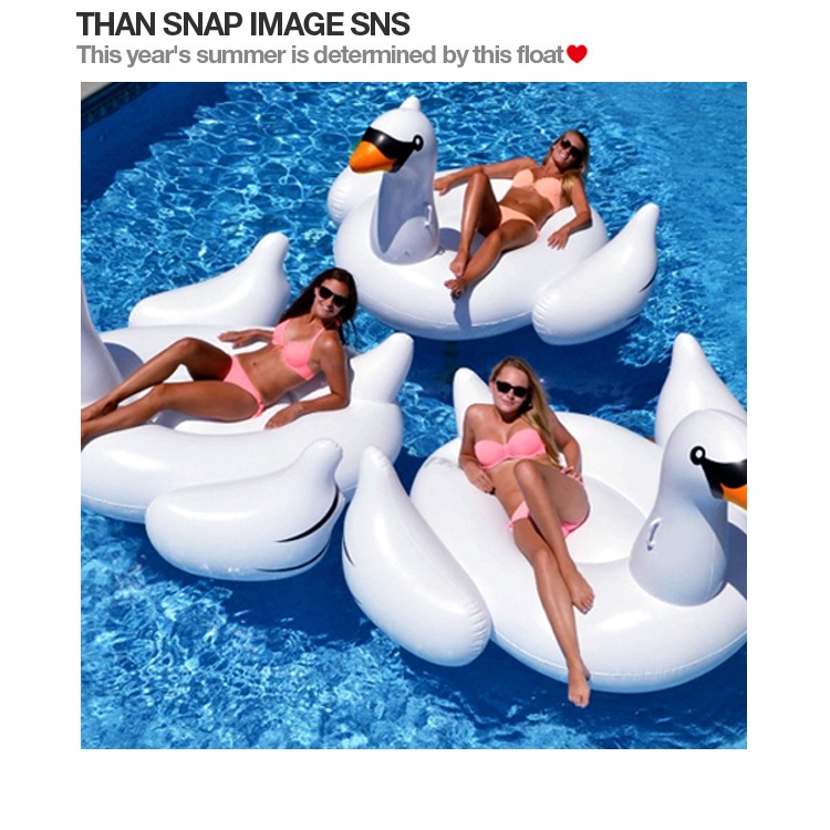 	
浮き輪,浮輪,フラミンゴ,ユニコーン,ペガサス,スワン,白鳥,馬,マーメード,真珠,パール,フロート,うきわ,海,ビーチ,リゾート,プール,かわいい,おおきい,
