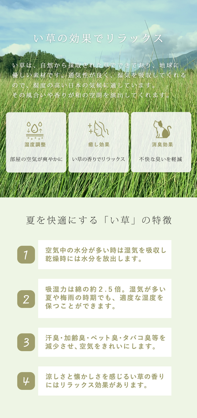 い草 枕 傾斜枕 ピロー 低反発枕 二つ折り枕 井草 消臭 調湿 いびき めまい 逆流性食道炎 いびき防止 マット 横向き 斜め 低反発 妊婦 父の日｜lftm｜07