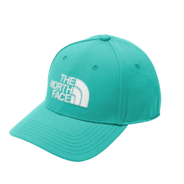 THE NORTH FACE（ザ ノースフェイス） ユニセックス TNFロゴキャップ