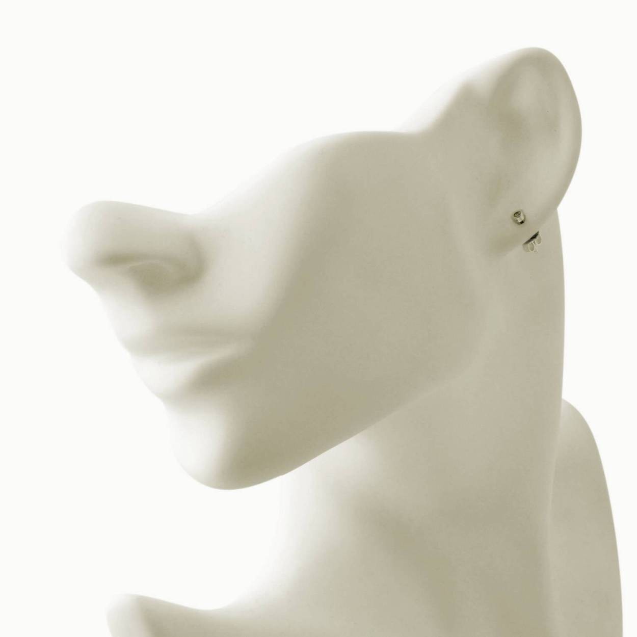 チャンルー CHAN LUU ESF-4499 SV  シャンパン ダイアモンド 0.10ct スタッド ピアス