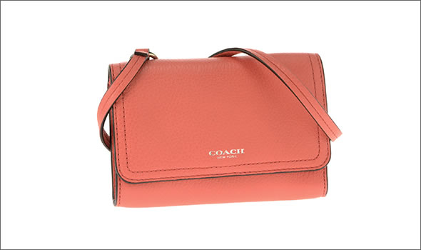 コーチ・アウトレット  ≪取り寄せ商品≫アベリー レザー フォン  ミニ・ショルダーバッグ ウォレット クロスボディ F50928 SV/RZ