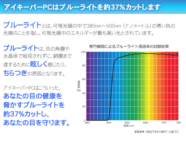 ブルーライトをカットして貴方の目を守る　軽量素材のPCメガネ　アイキーパーPC EK-004 C-20 グレー