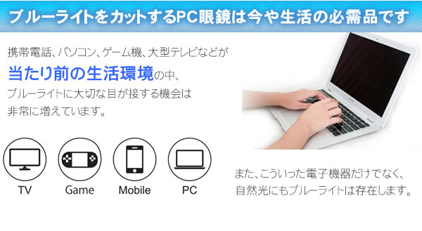 ブルーライトをカットして貴方の目を守る　軽量素材のPCメガネ　アイキーパーPC (メタルフレーム) EK-003 C-96 ブラック/ライトグリーン