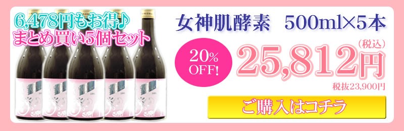 人気モデル「藤井リナ」さん完全プロデュース【Dea 女神肌酵素】☆238種類の濃縮酵素を配合した注目の酵素ドリンク 500ml×5本 お得なまとめ買いセット 飲みやすくて美味しい♪フルーティリンゴ味