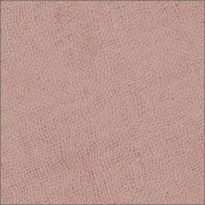 チャンルー Cashmere and Silk Scarf カシミア＆シルクスカーフ 大判ストール マフラー カメオローズ ピンク系 BRH-SC-140/Cameo Rose