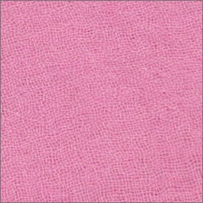 チャンルー Cashmere and Silk Scarf カシミア＆シルクスカーフ 大判ストール マフラー パピュラータ ピンク系 BRH-SC-140/Purpurate