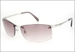 【POLICE】ポリス サングラス S8595J 528G