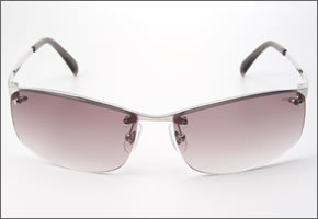 【POLICE】ポリス サングラス S8595J 528G