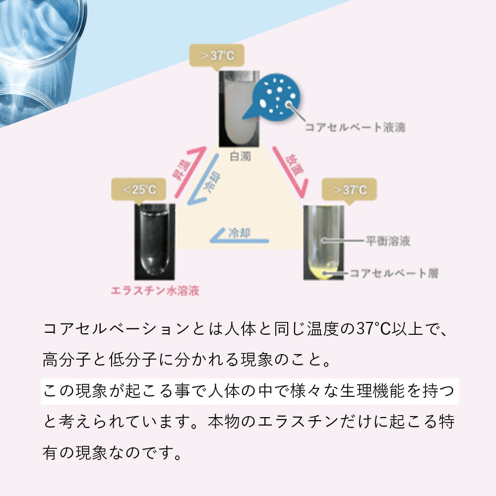 リニューアル エラスチン量20％UP♪】季令（KIREI） エラスチンカプセル 100粒 高純度エラスチン 100％天然由来 スキンケア キレイ  ACTLAND : 714501 : Liberta Create Yahoo!店 - 通販 - Yahoo!ショッピング