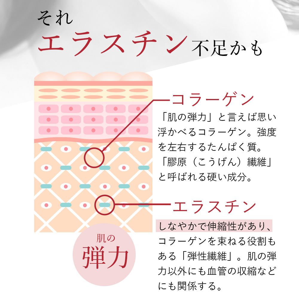 リニューアル エラスチン量20％UP♪】季令（KIREI） エラスチンカプセル 100粒 高純度エラスチン 100％天然由来 スキンケア キレイ  ACTLAND : 714501 : Liberta Create Yahoo!店 - 通販 - Yahoo!ショッピング