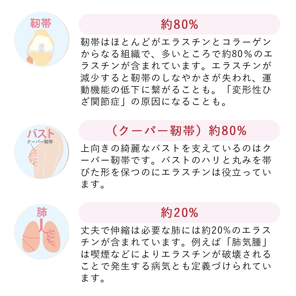 リニューアル エラスチン量20％UP♪】季令（KIREI） エラスチン
