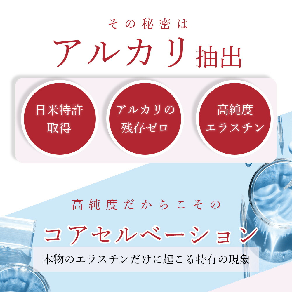 リニューアル エラスチン量20％UP♪】季令（KIREI） エラスチンカプセル 100粒 高純度エラスチン 100％天然由来 スキンケア キレイ  ACTLAND : 714501 : Liberta Create Yahoo!店 - 通販 - Yahoo!ショッピング