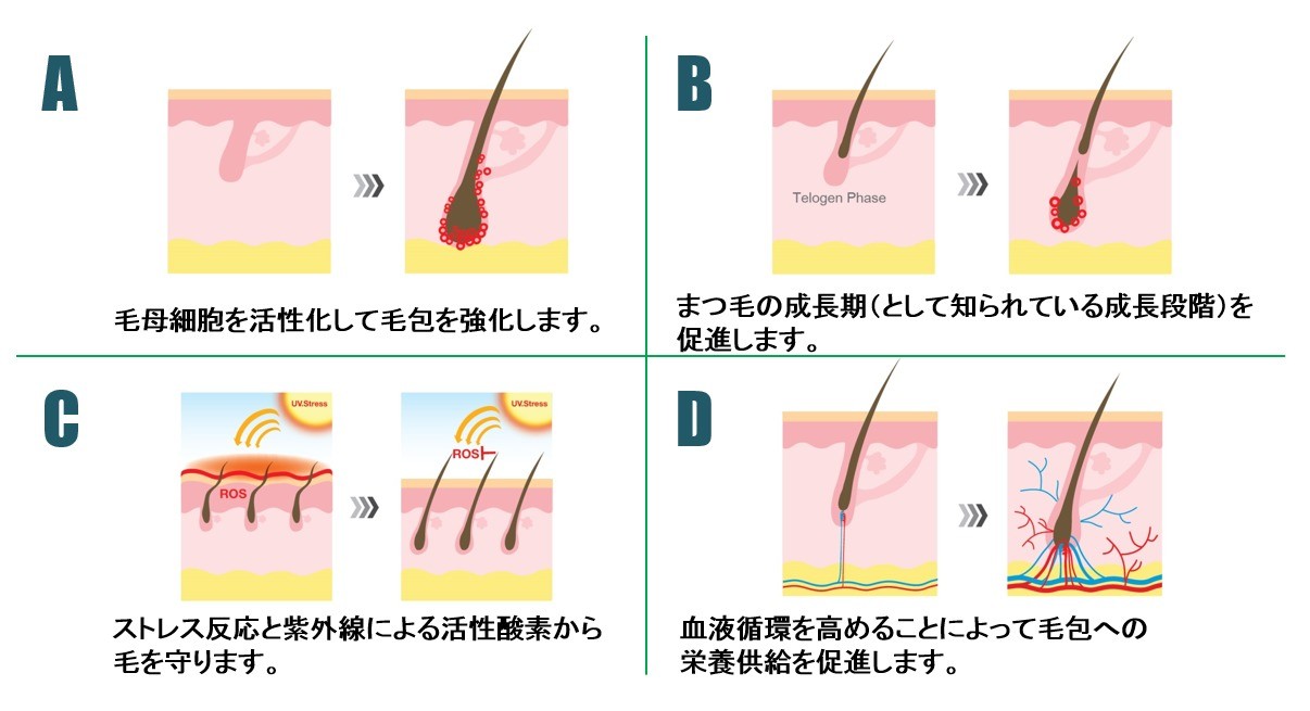 ペロバーム ラッシュラッシュ5ml 睫毛 まつ毛 美容液 ペプチド LashLash 自然 ナチュラル睫毛美容液 まつ毛美容液 液 PeloBaum Lash  Lash :4573143180138:Liberta Create Yahoo!店 - 通販 - Yahoo!ショッピング