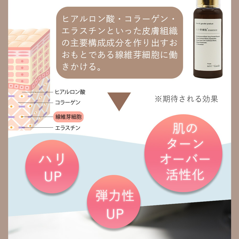 ニーゲンキ エッセンス ヒト幹細胞エッセンス 50ml 水不使用