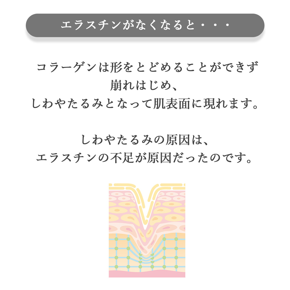 リニューアル エラスチン量20％UP♪】季令（KIREI） エラスチン