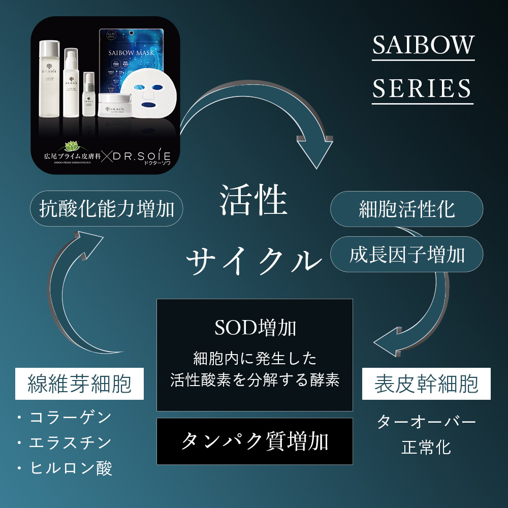 SAIBOW SERUM （ サイボウセラム ）10ml 美容液 DMAE ヒト幹細胞 植物幹細胞 AC-11 EGF コラーゲン エラスチン  ヒアルロン酸 ハリ ツヤ Dr.Soie : 4580209781000 : Liberta Create Yahoo!店 - 通販 -  Yahoo!ショッピング