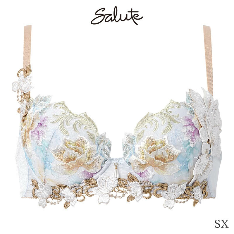 サルート（SALUTE） Salute 26グループ ワコール ブラジャー 3/4カップ