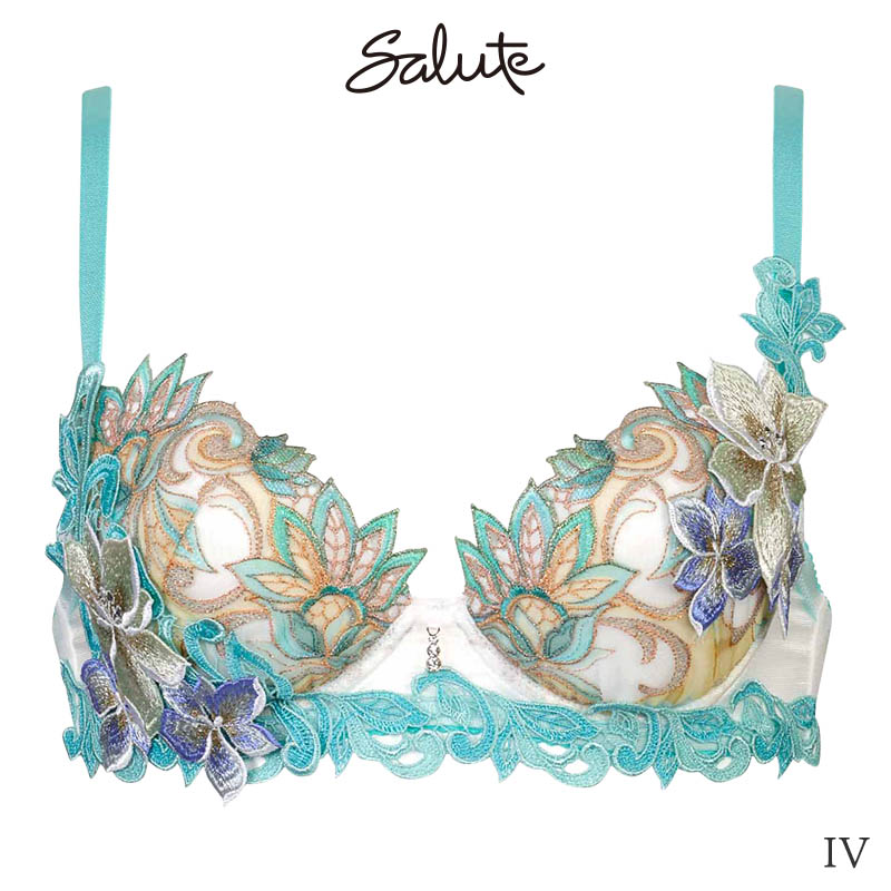 サルート Salute 80グループ ワコール ブラジャー 3/4カップ