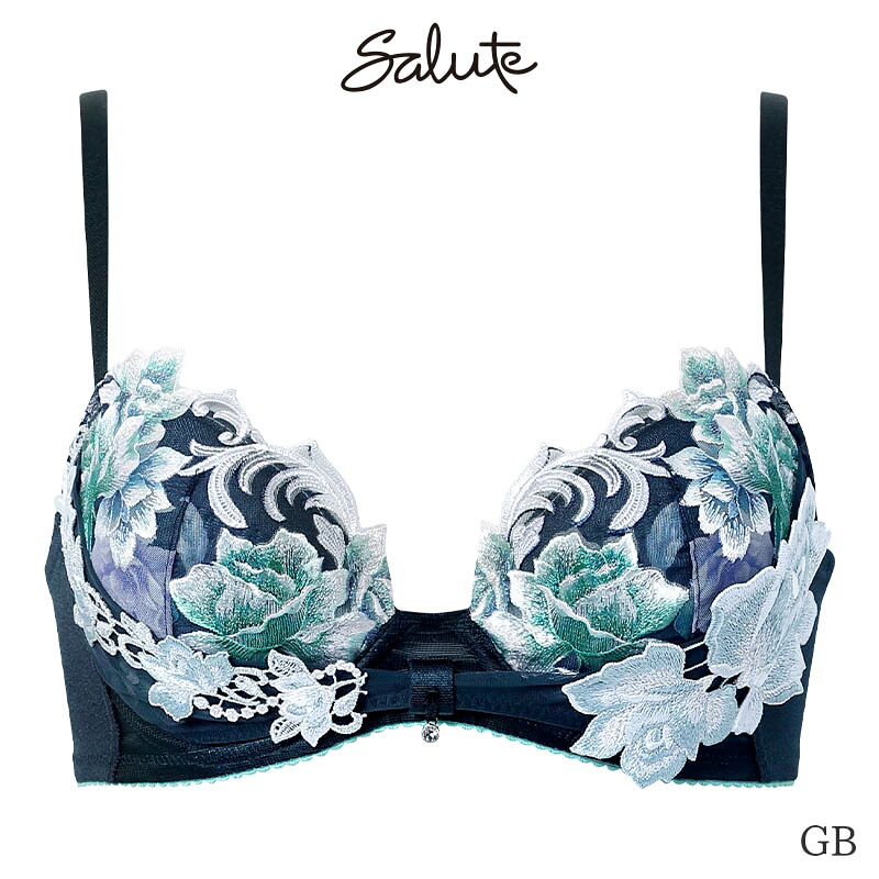 サルート リボンブラ e70のおすすめ人気商品一覧 通販 - Yahoo