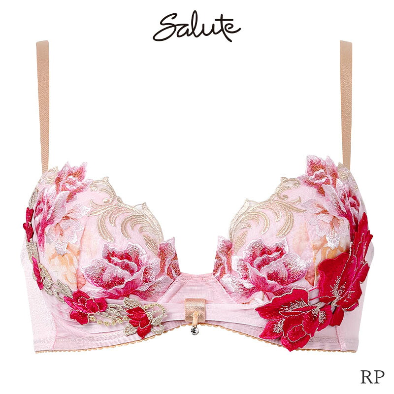 サルート リボンブラ e70のおすすめ人気商品一覧 通販 - Yahoo