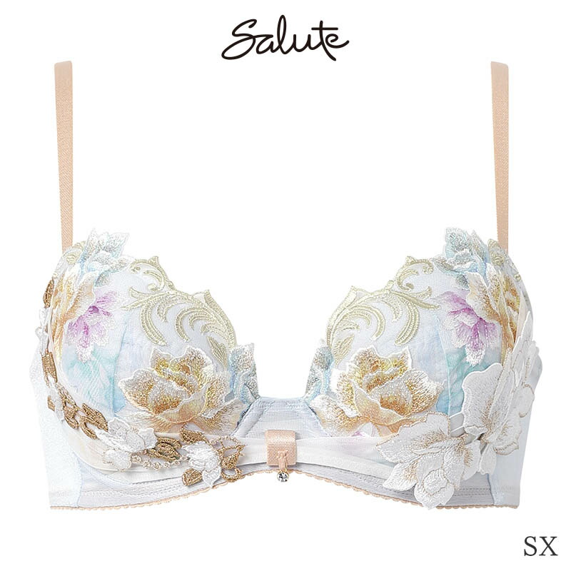 サルート（SALUTE） Salute 26グループ ワコール ブラジャー 3/4カップ