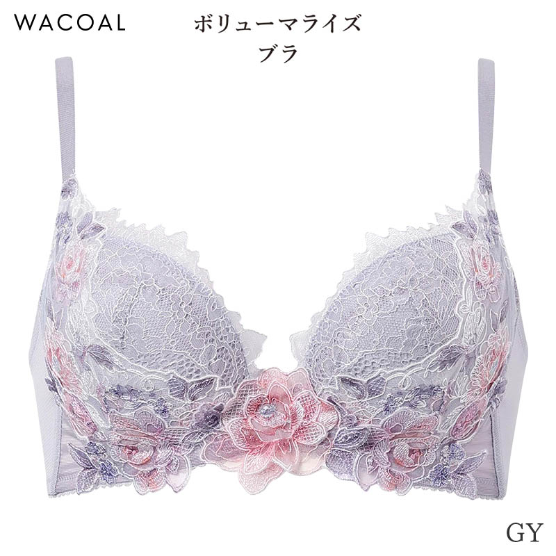 WACOAL ワコール プレミアム 22シリーズ ブラジャー 3/4カップ