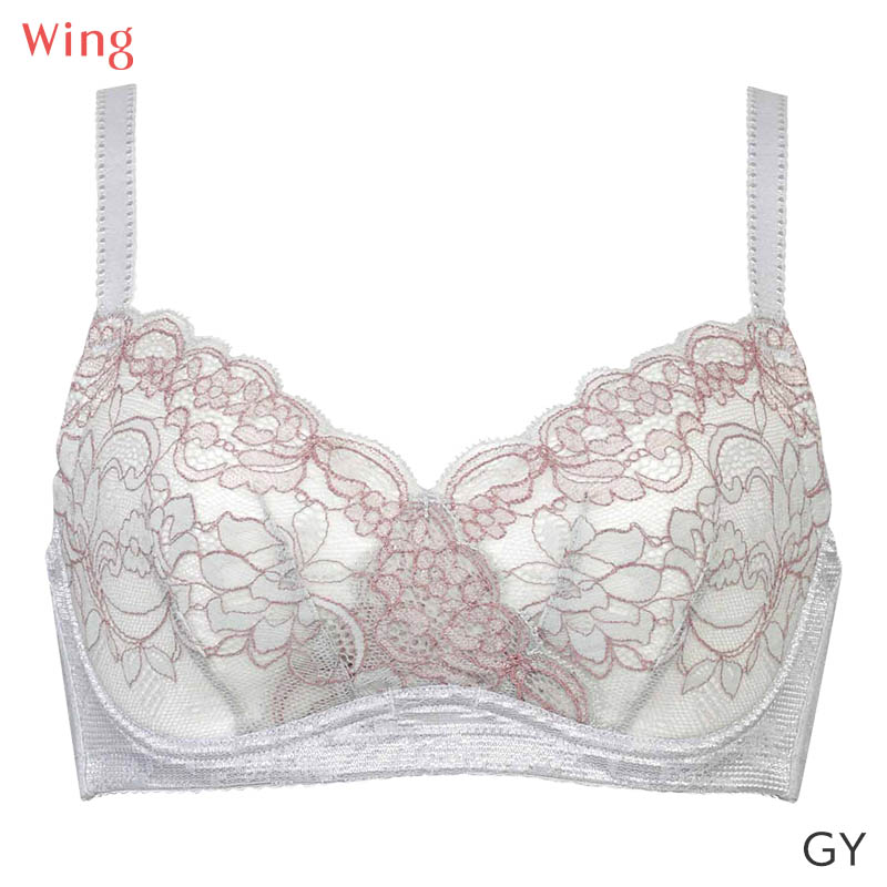 ウイング 小さく見せるブラ（ファッション）のおすすめ人気商品一覧