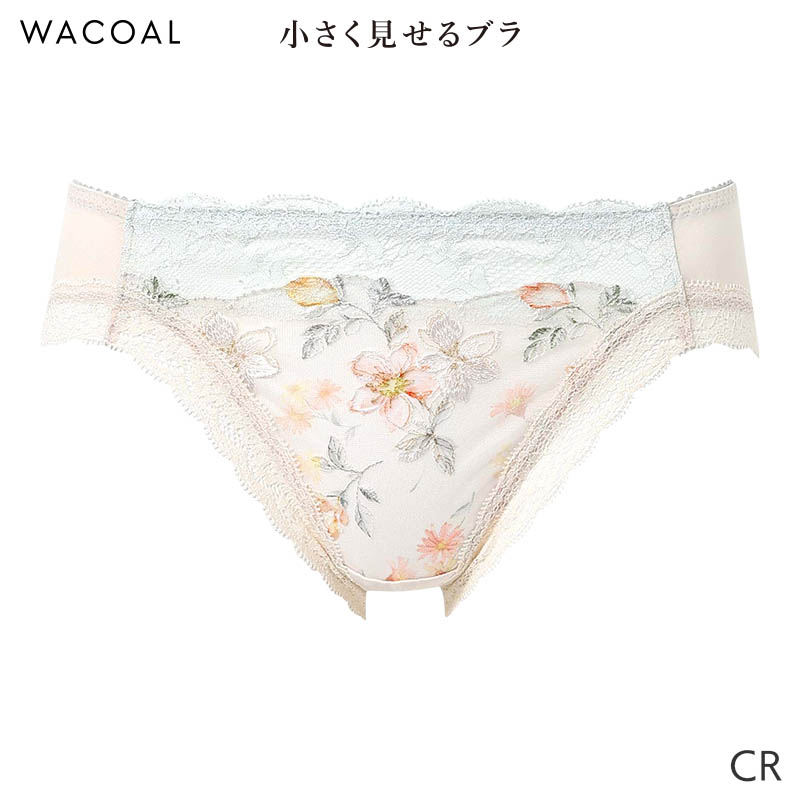 着払い巴専用のみ WACOAL（ワコール） 小さく見せるブラ ショーツ はきこみ丈あさめ