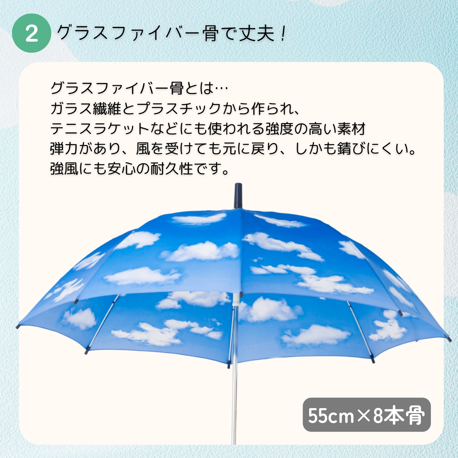 Lieben（リーベン） 傘 子供 キッズ 青空 55cm×8本骨 おしゃれ 長傘