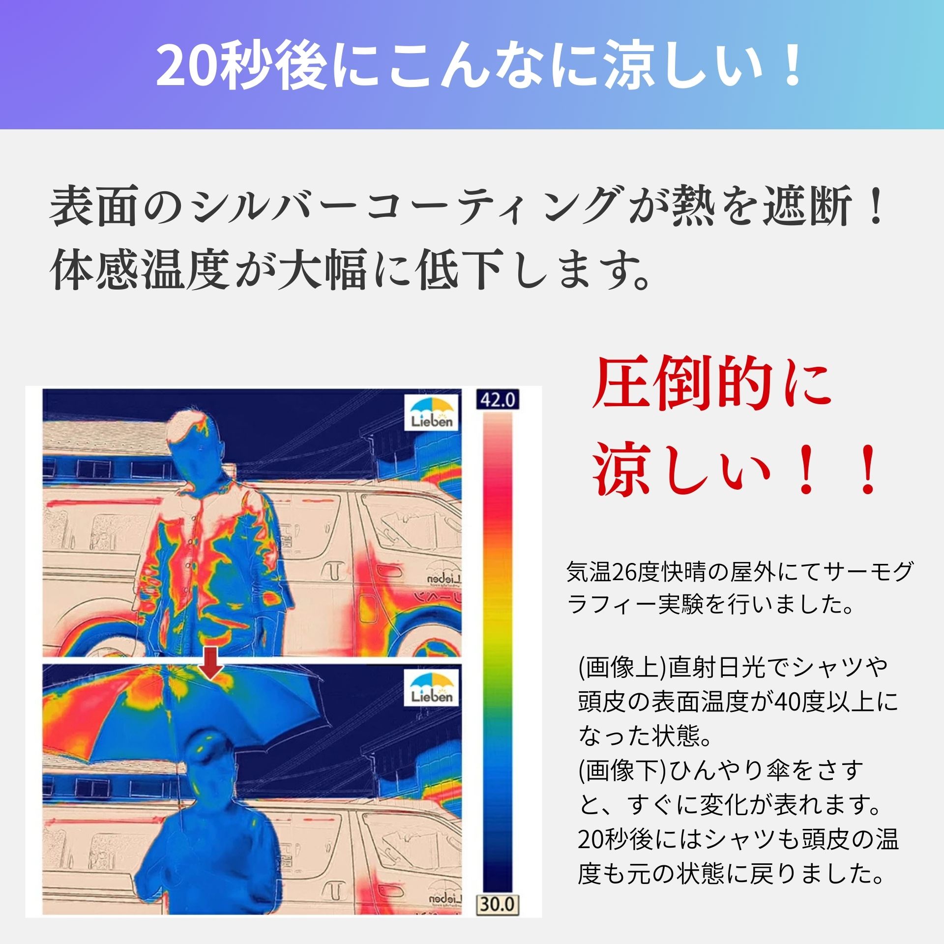 ＵＶ折傘シルバーレース