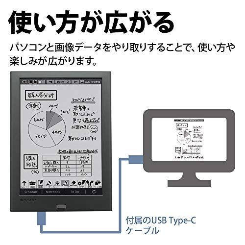 ポイント10倍】【ポイント10倍】シャープ 電子ノート 電子メモ WG-PN1