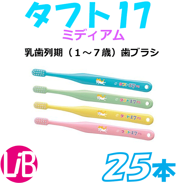 タフト１７　M　ミディアム　２５本