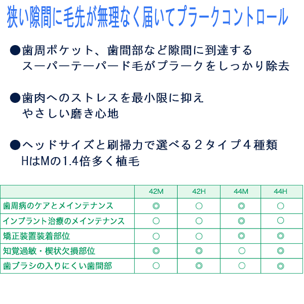 システマ　説明