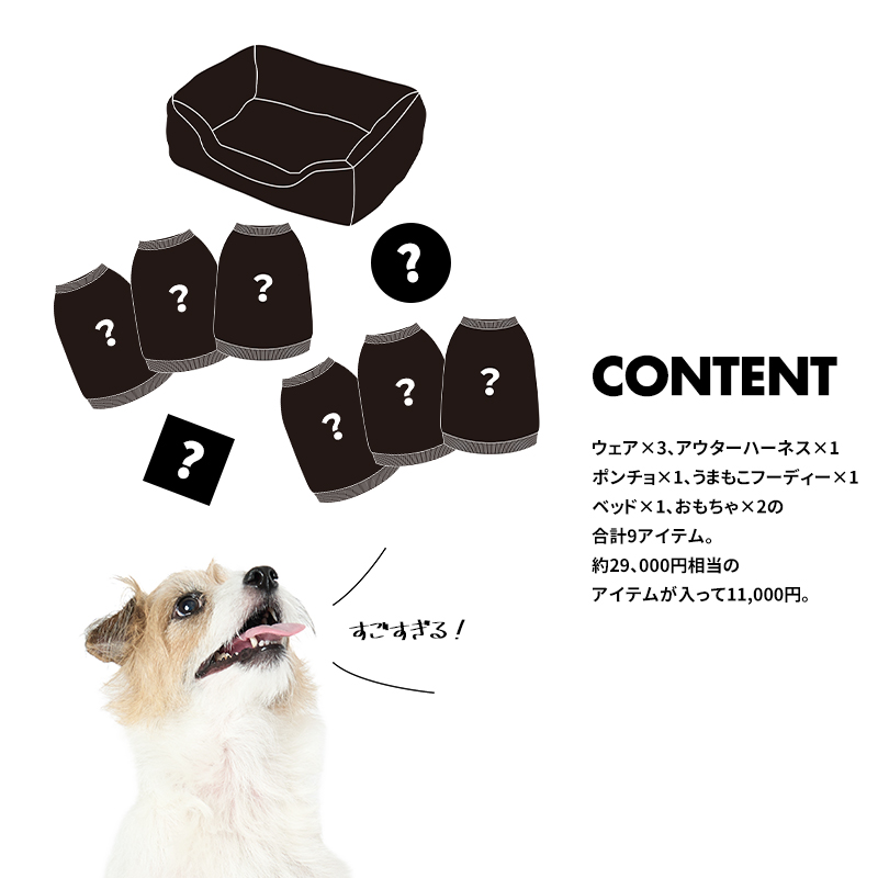 LIFELIKE（ライフライク） ハッピーボックススペシャル 犬 服 福袋