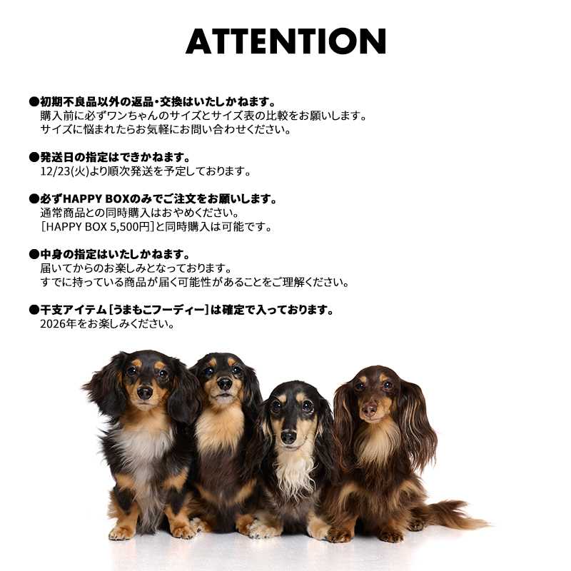 LIFELIKE（ライフライク） ハッピーボックススペシャル 犬 服 福袋