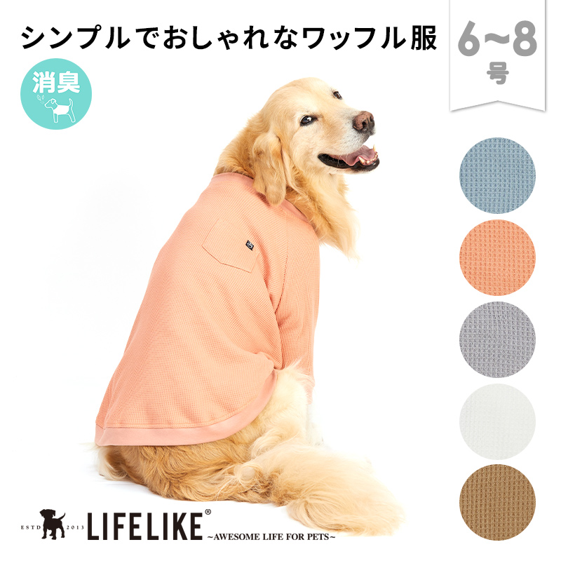 犬服 S わんこの普段着　グレープドット 101r04m_01_1.jpg
