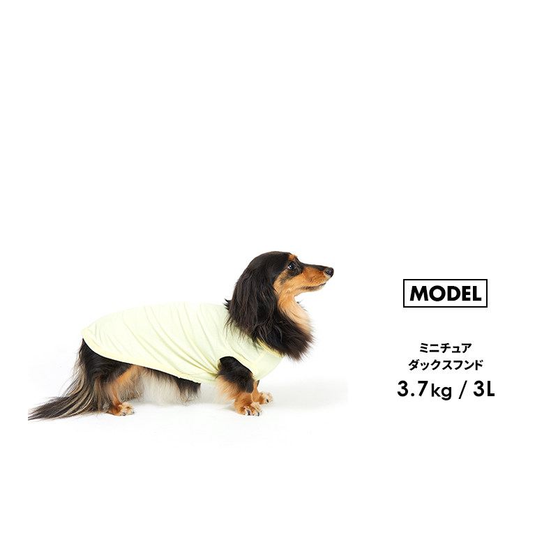 【スムースウェア1-5号2L-3LFB】ドッグウェア タンク 小型犬 中型犬 犬 服 シンプル おしゃれ 犬の服 ペット ペット用品 LIFELIKE
