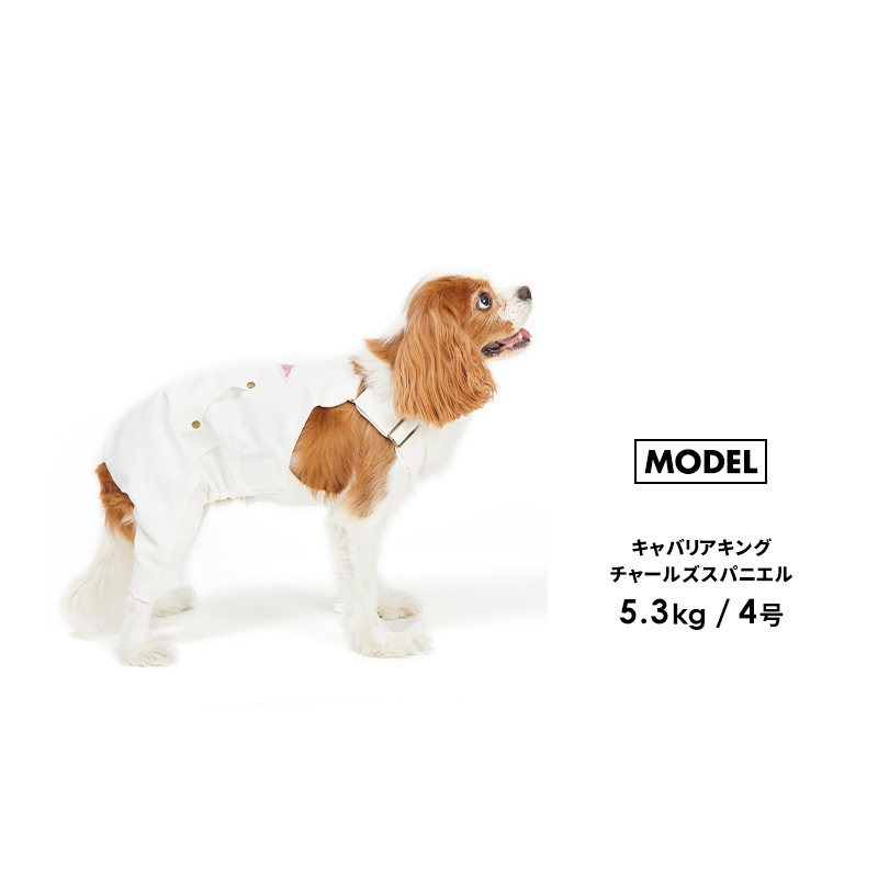 【スタンダードオーバーオール1-5号2L-3L】ドッグウェア パンツ 重ね着 小型犬 中型犬 犬 服 シンプル 犬の服 ペット用品 LIFELIKE