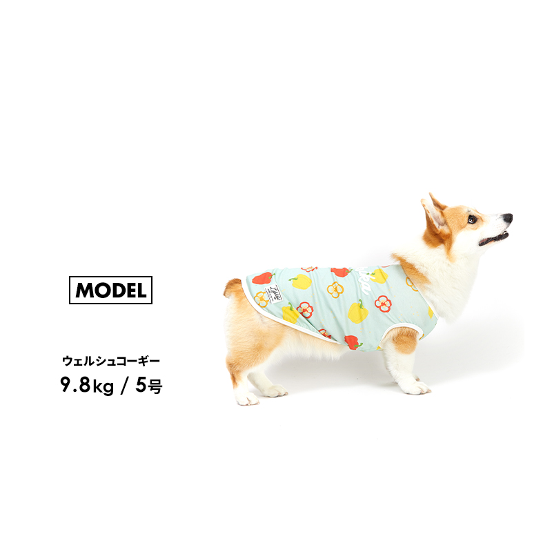 【サマーベジタンク1-5号2L-3L】ドッグウェア タンク 小型犬 中型犬 犬 服 シンプル 犬の服 ペット服 グッズ ペット用品 LIFELIKE