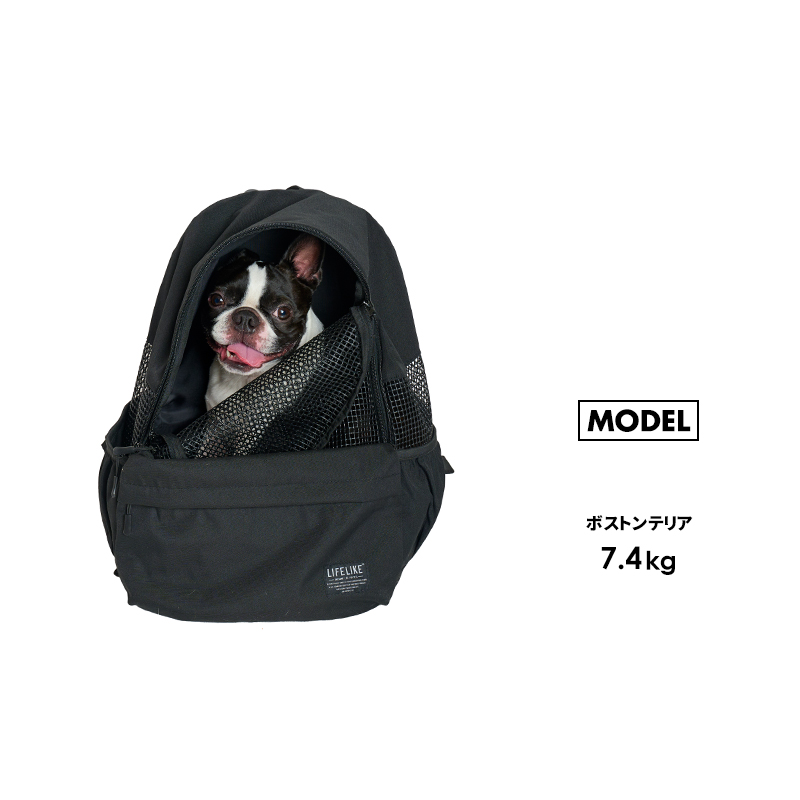 LIFELIKE 【デイパックキャリー】キャリーバッグ リュック