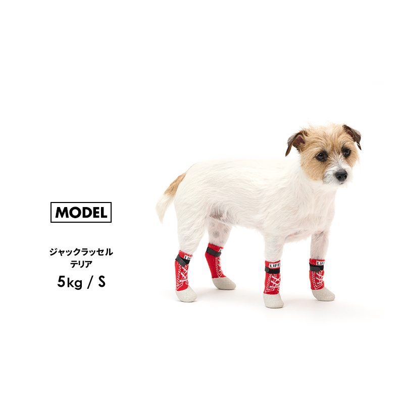 【スニーカーロングラバーソックスM-L】犬 靴下 ソックス 犬の靴下