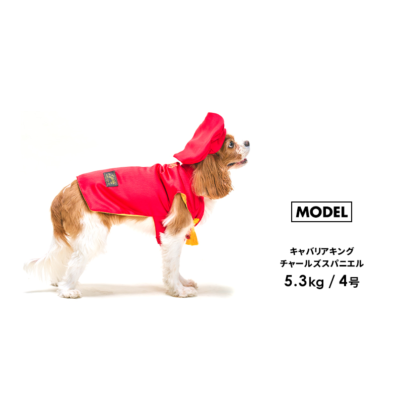 Amazon.co.jp: ペコちゃん 犬服 ペット服 リオスタジオ 犬 服