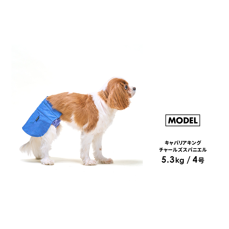 サニタリースカート1-5号 犬 マナーパンツ 女の子 サニタリーパンツ