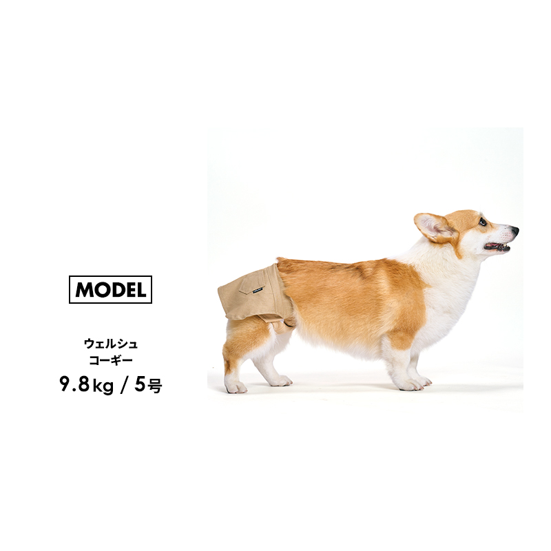 サニタリースカート1-5号 犬 マナーパンツ 女の子 サニタリーパンツ