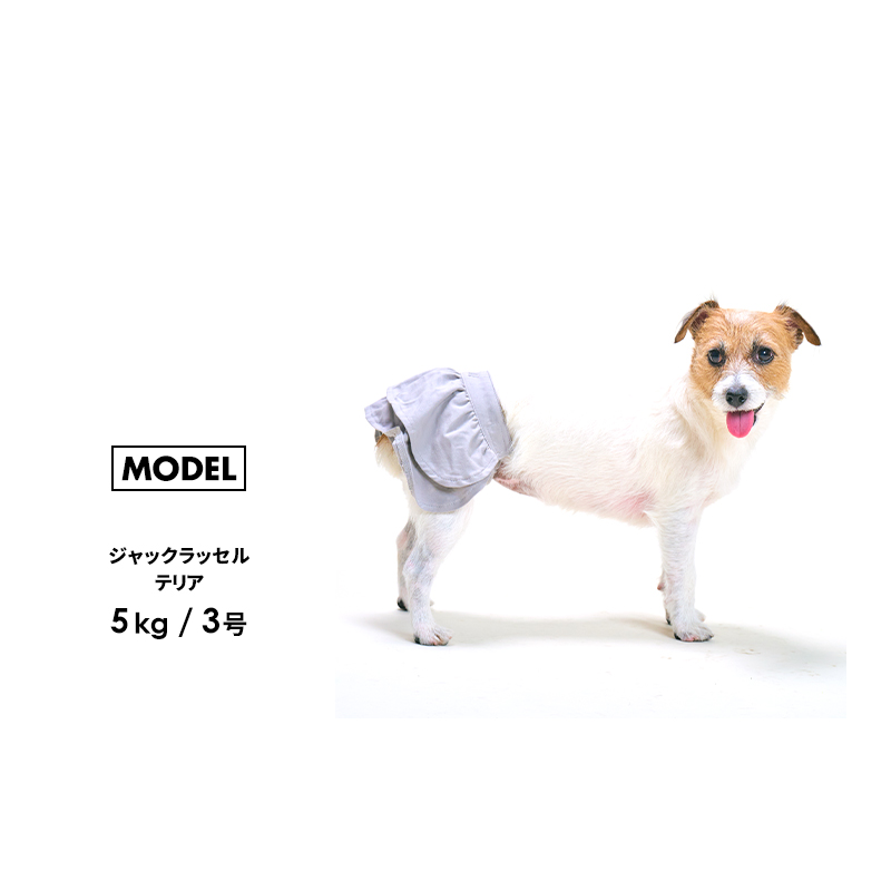 サニタリーフリルスカート1-5号 犬 マナーパンツ 女の子 サニタリー