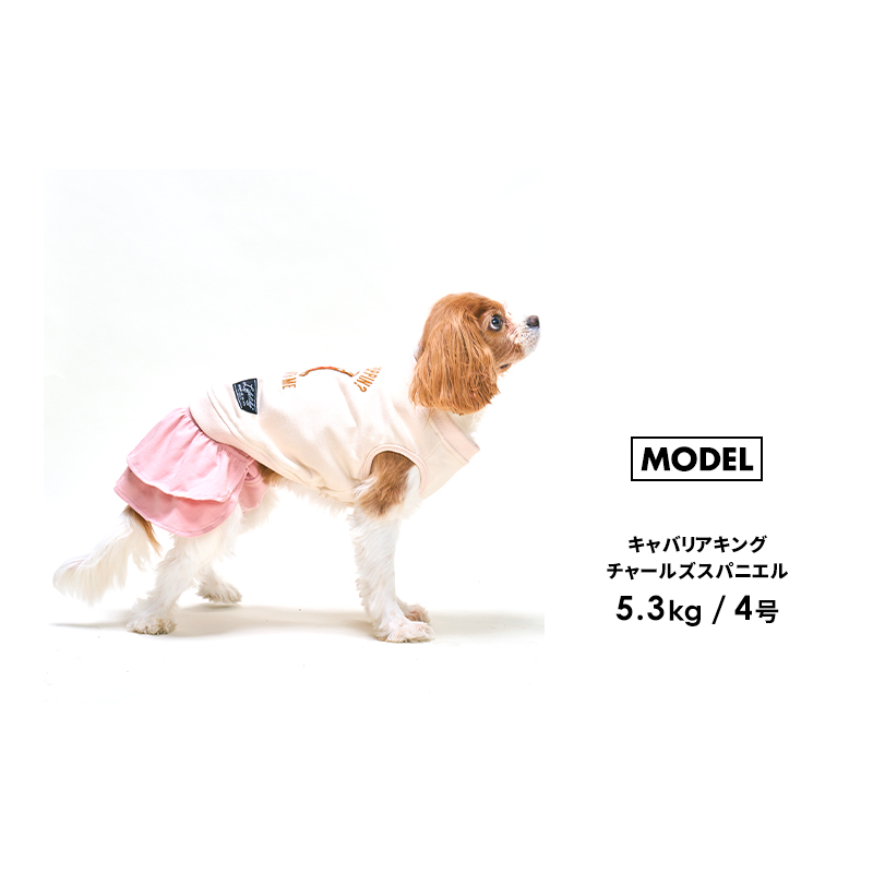 サニタリーフリルスカート1-5号 犬 マナーパンツ 女の子 サニタリー