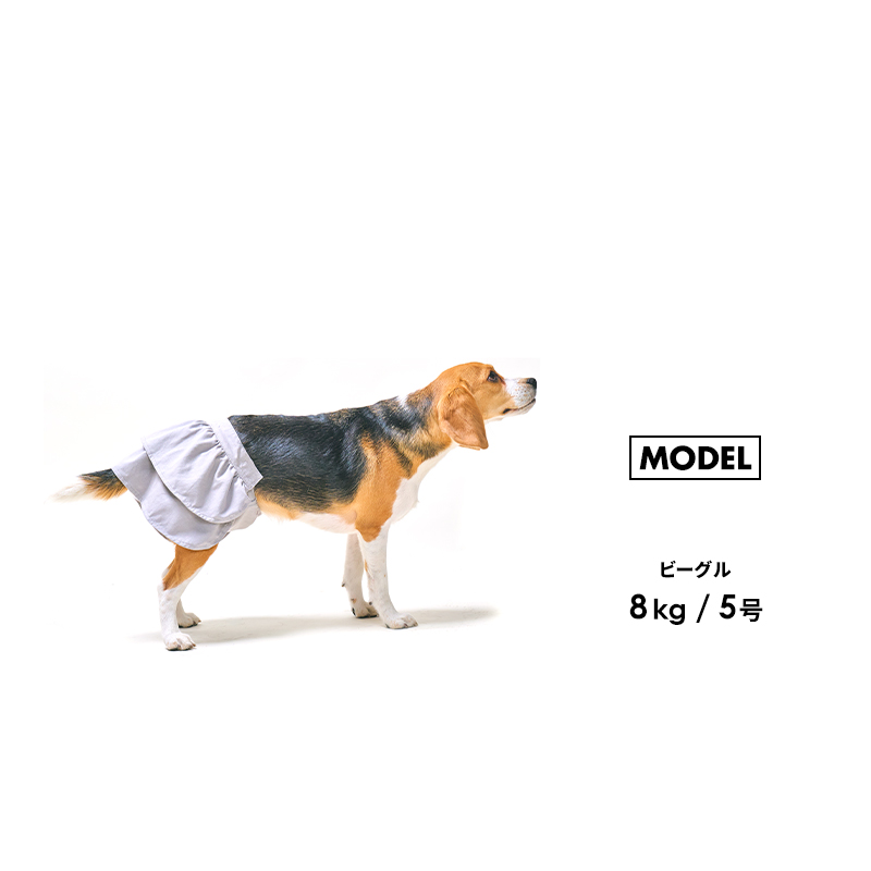 サニタリーフリルスカート1-5号 犬 マナーパンツ 女の子 サニタリー