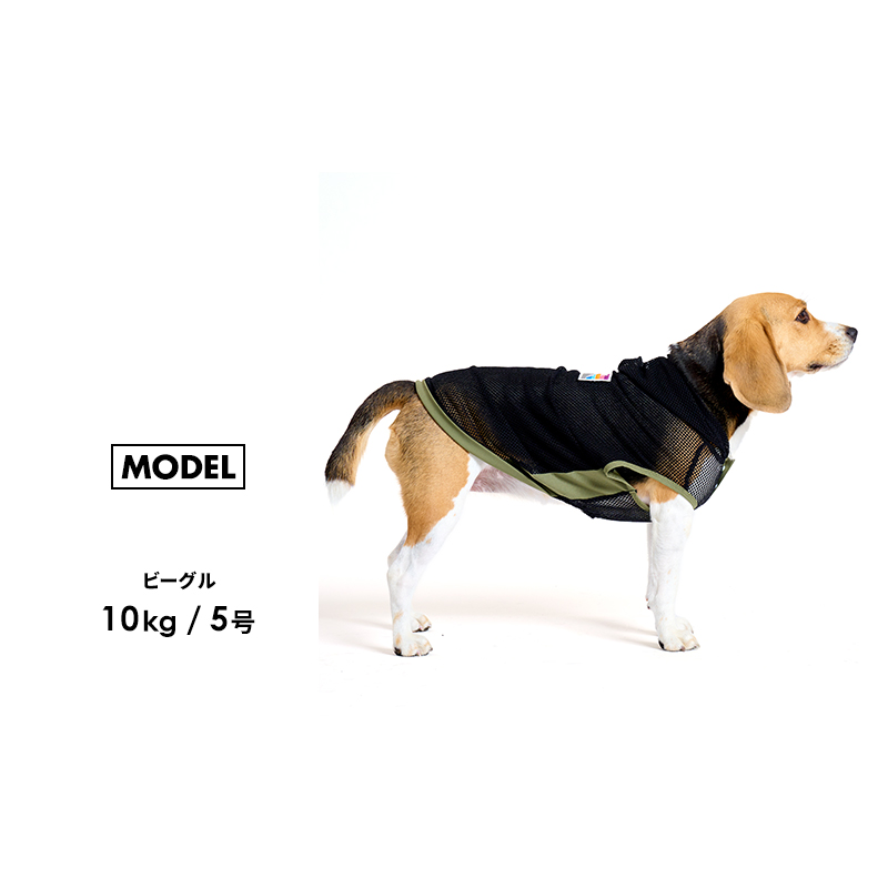 beagle トップ ペット 服