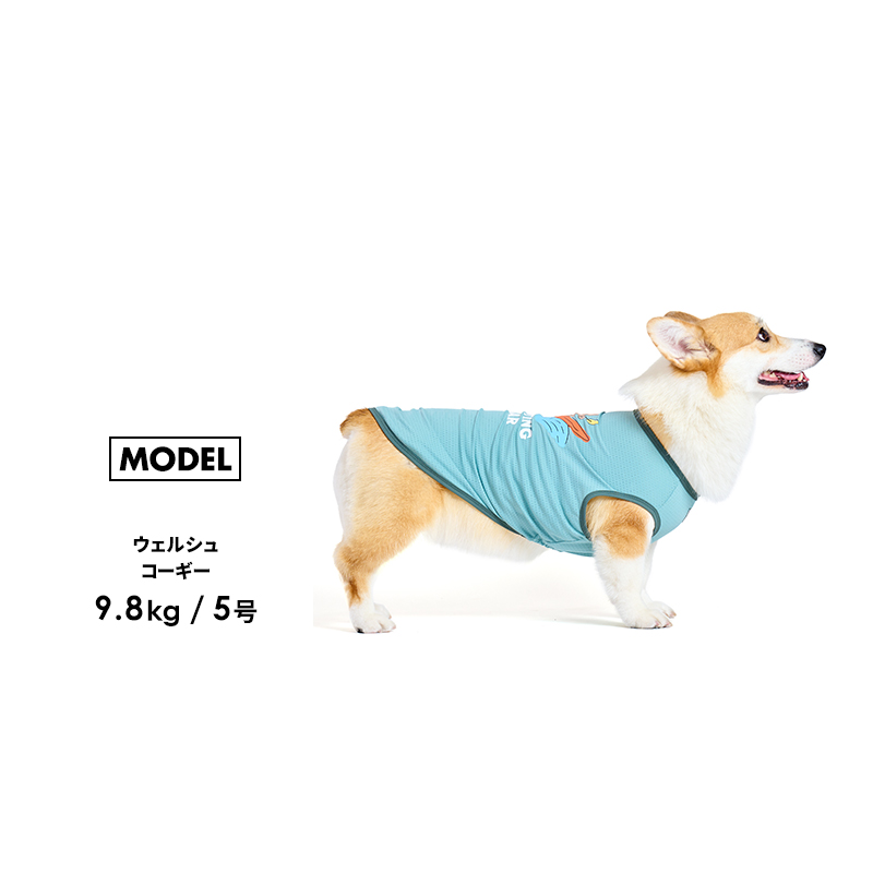 LIFELIKE（ライフライク） OUTDOORベアータンク1-5号2L-3L ドッグ